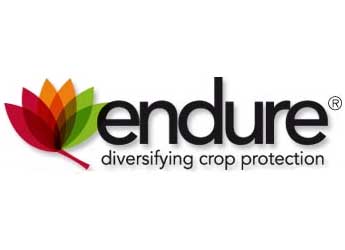 Endure logo