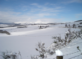 Image showing winter landscape