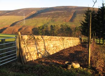 Photograph of dyke at the Glensaugh Research Farm