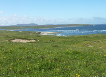 Image showing crofting landscape on Lewis