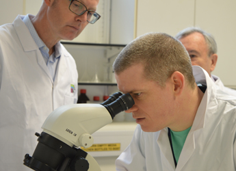 Photograph of researcher examining a sample in the laboratory