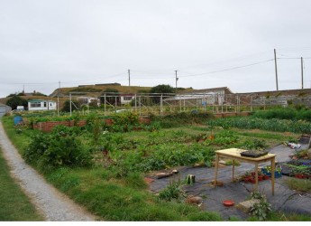 CO-benefits of agricultural Digitalisation 