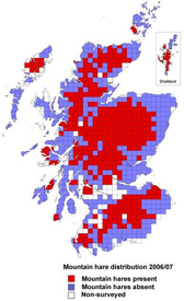 Mountain Hare distribution map of Scotland