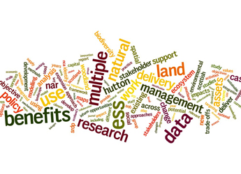 Image showing words relating to the research