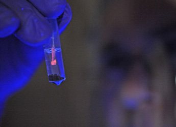 Photograph of a test tube being held up in the light