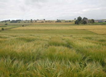 Photograph showing the Centre for Sustainable Cropping at Balruddery Farm