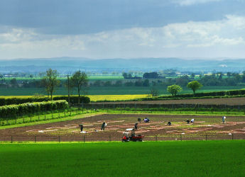 Photograph of researchers laying out an ecological field experiment on the Carse