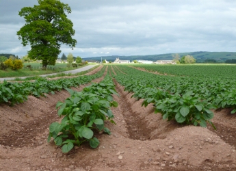 Photograph of highly productive Class 2 land in the Howe of the Mearns