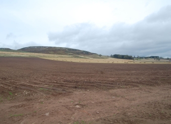 Photograph of a potato field post harvest