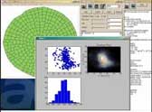 Image of software tools for plant biometry