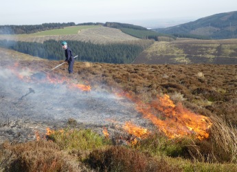 Image showing controlled Muirburn at Glensaugh