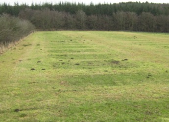Photograph of the field site at Hartwood
