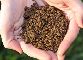Soil (c) James Hutton Institute