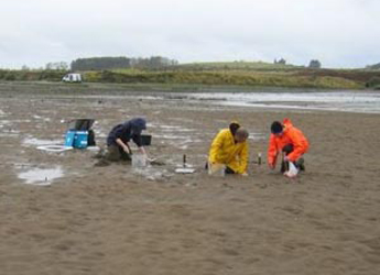 Photograph of scientists collecting samples on East coast beach