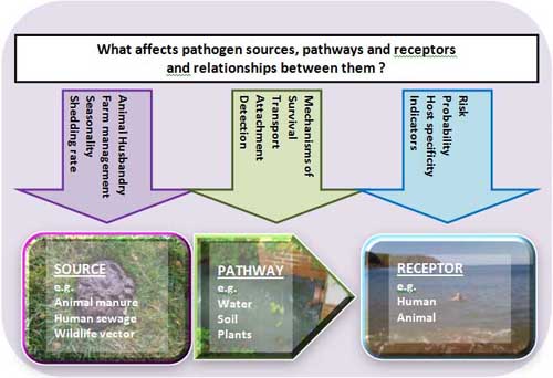 Figure showing the Source-Pathway-Receptor approach