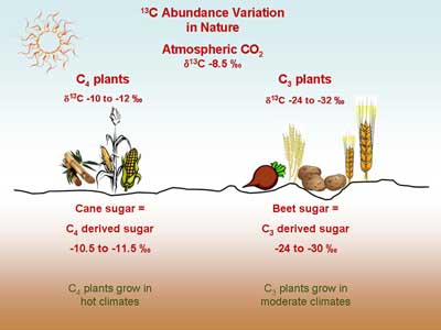 Isotopes used to study soil CO2