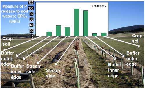 Figure 1: Engineered buffer strip