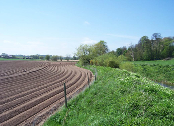 Photo by Andy Vinten and shows a buffer strip in a field in Aberdeenshire