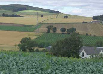 View of fields and hills