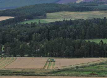 Photograph of farmland and forest