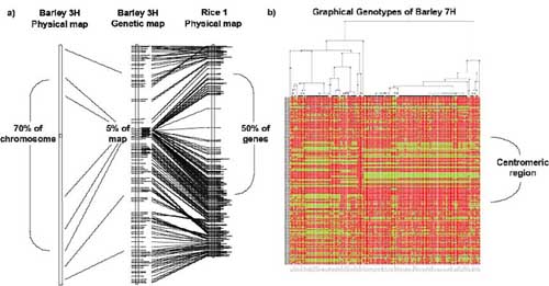  Recombination