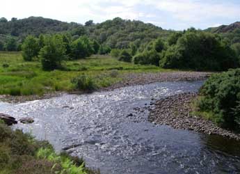 One of our study sites in the NW Highlands of Scotland