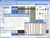Screenshot of TOPALi software