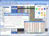 Screenshot of TOPALi software
