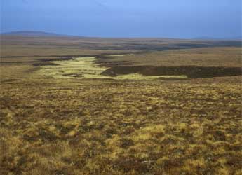 Photograph of a peatbog in Caithness (© Willie Towers)