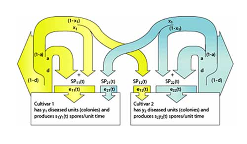 Figure 1: Mathematical concepts of mixtures model