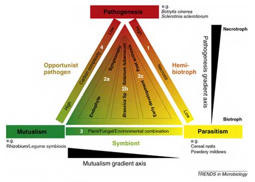 Figure 1: Trophic space - the dynamic relationship between microbes and their hosts.