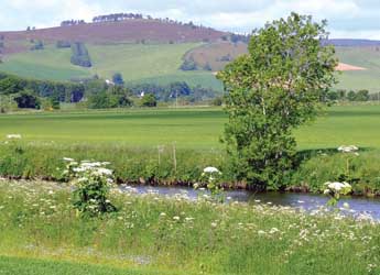 Photograph of a river bank and fields