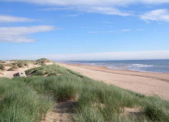 Photograph of coastal sand dunes