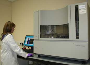 Photograph of staff conducting sequencing