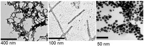Figure 2: Examples of nanomaterials produced at the James Hutton Institute viewed using Transmission Electron Microscopy