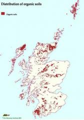 Distribution of Organic Soils