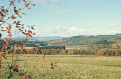 Arable land in River Dee valley, Aberdeenshire 