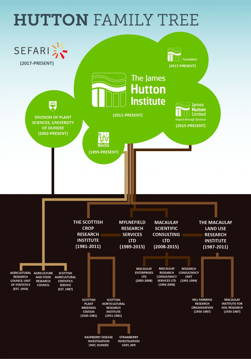 our history, family tree