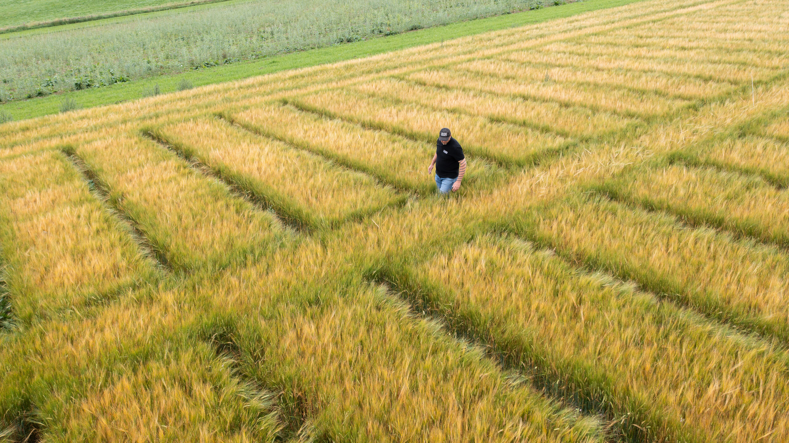 Hutton coleads major research investment into national land use