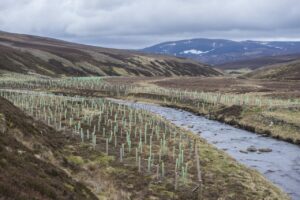 Improving evidence for river woodland restoration initiatives