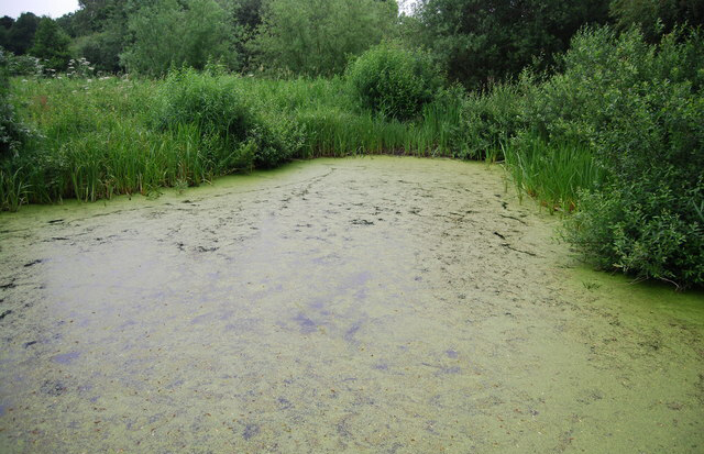scottish lochs