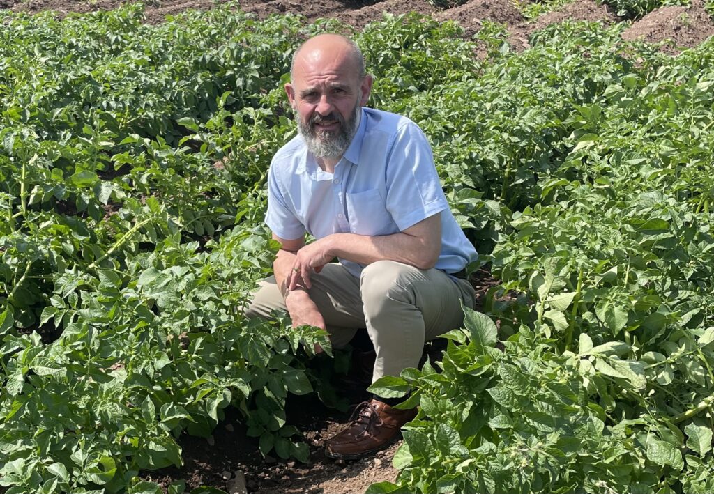 Professor Ian Toth is director of the National Potato Innovation Centre (NPIC)
