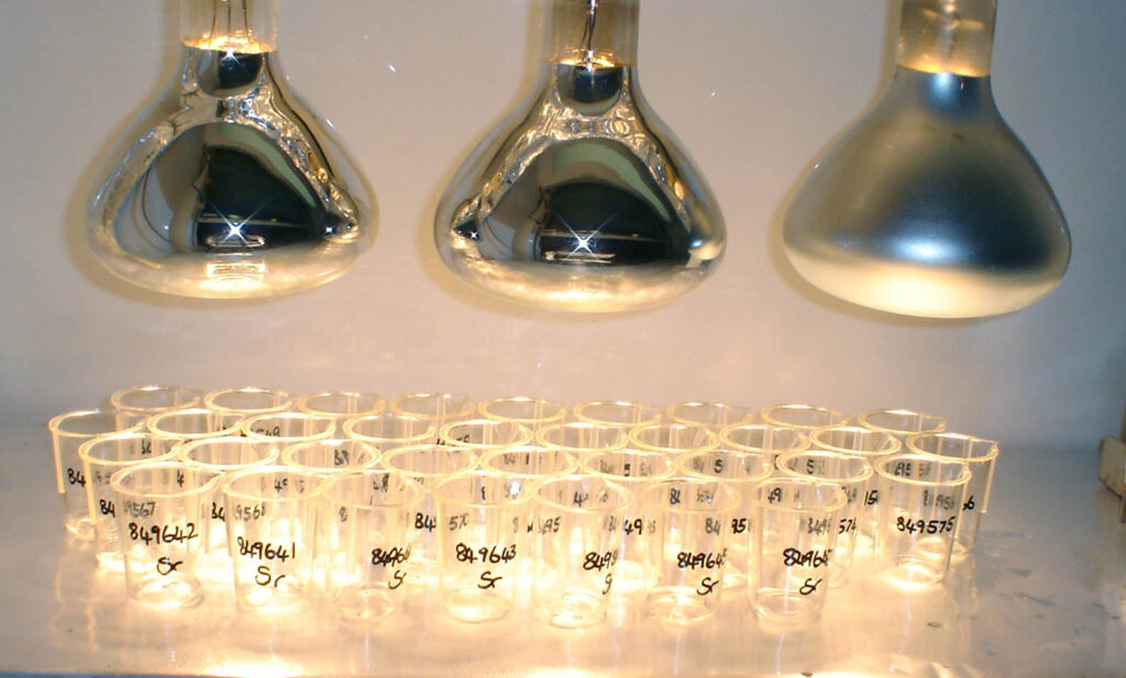 analytical services