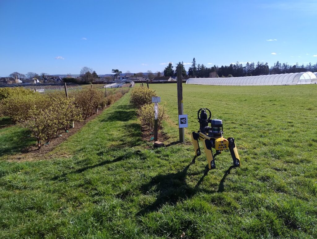 SPOT the robot dog