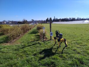SPOT, the robot dog, demonstrates its skills at The James Hutton Institute