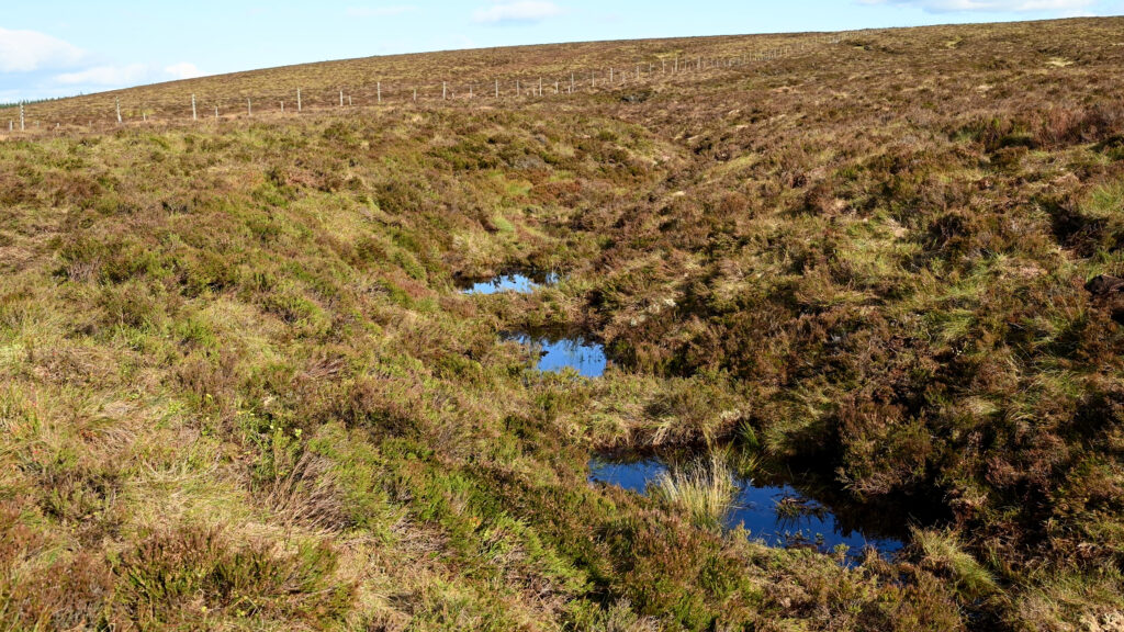 Pools formed behind in-gully bunds