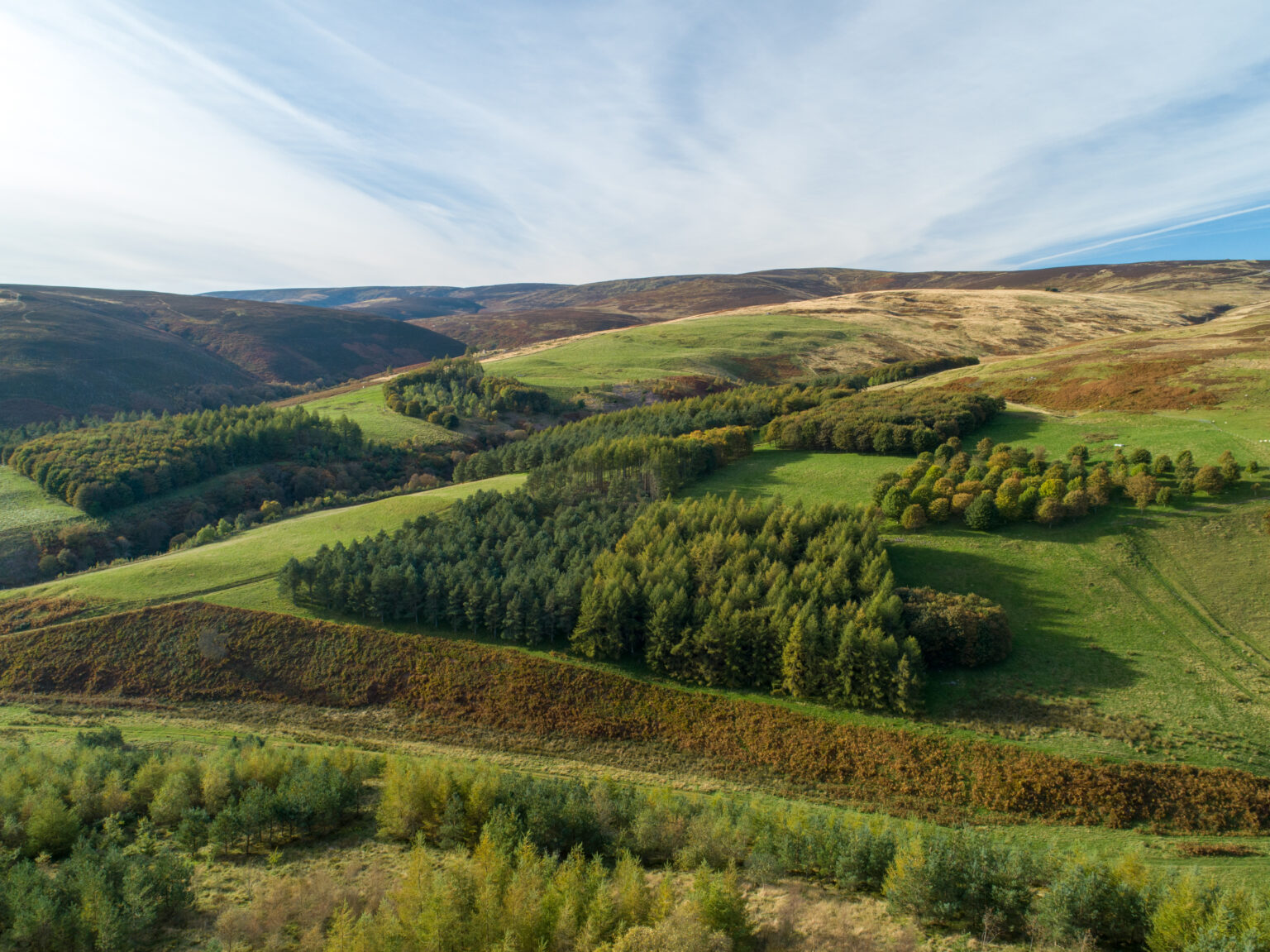 Agroforestry at Glensaugh - James Hutton Institute
