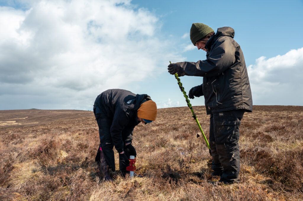 Scientists installing dipwells to monitor water table depth, peatland restoration