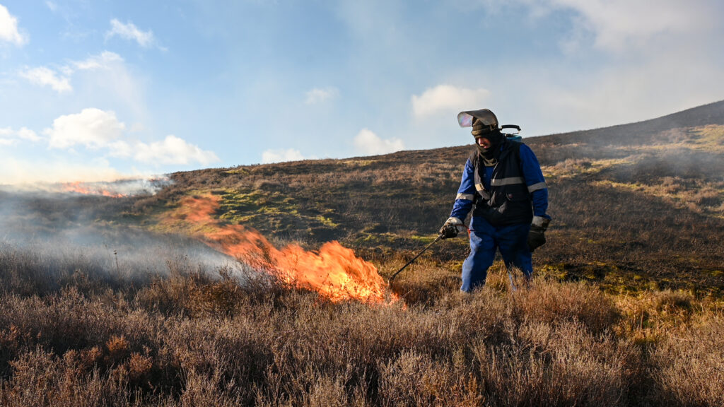 Muirburn Glensaugh
