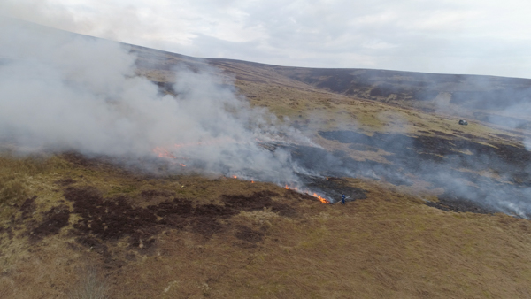 Managing heather moorlands: burning and cutting